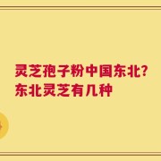 灵芝孢子粉中国东北？东北灵芝有几种
