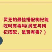 灵芝的最佳搭配枸杞能吃吗有毒吗(灵芝与枸杞搭配，是否有毒？)