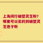 上海闵行破壁灵芝粉？哪里可以买的到破壁灵芝孢子粉