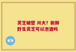 灵芝破壁 川大？新鲜野生灵芝可以泡酒吗