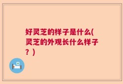 好灵芝的样子是什么(灵芝的外观长什么样子？)