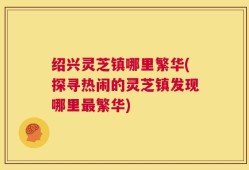 绍兴灵芝镇哪里繁华(探寻热闹的灵芝镇发现哪里最繁华)