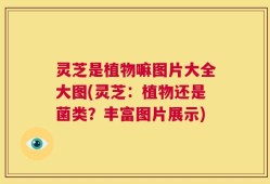 灵芝是植物嘛图片大全大图(灵芝：植物还是菌类？丰富图片展示)