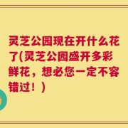 灵芝公园现在开什么花了(灵芝公园盛开多彩鲜花，想必您一定不容错过！)