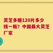 灵芝多糖120片多少钱一瓶？中国最大灵芝厂家