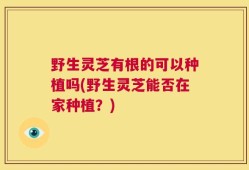 野生灵芝有根的可以种植吗(野生灵芝能否在家种植？)