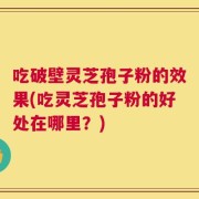 吃破壁灵芝孢子粉的效果(吃灵芝孢子粉的好处在哪里？)
