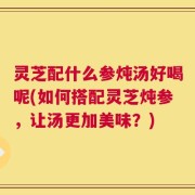 灵芝配什么参炖汤好喝呢(如何搭配灵芝炖参，让汤更加美味？)