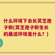 什么环境下会长灵芝孢子粉(灵芝孢子粉生长的最适环境是什么？)