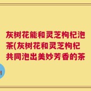 灰树花能和灵芝枸杞泡茶(灰树花和灵芝枸杞共同泡出美妙芳香的茶