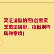 灵芝造型拍照(创意灵芝造型摄影，拍出别样风雅意境)