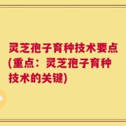 灵芝孢子育种技术要点(重点：灵芝孢子育种技术的关键)
