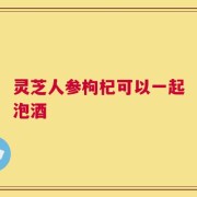 灵芝人参枸杞可以一起泡酒
