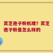 灵芝孢子粉机理？灵芝孢子粉是怎么样的