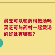 灵芝可以和药材煲汤吗灵芝可与药材一起煲汤的好处有哪些？