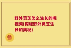 野外灵芝怎么生长的呢视频(探秘野外灵芝生长的奥秘)