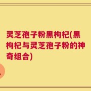 灵芝孢子粉黑枸杞(黑枸杞与灵芝孢子粉的神奇组合)