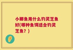小鲫鱼用什么钓灵芝鱼好(哪种鱼饵适合钓灵芝鱼？)
