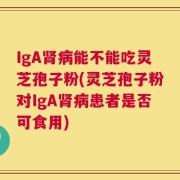IgA肾病能不能吃灵芝孢子粉(灵芝孢子粉对IgA肾病患者是否可食用)