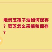 地灵芝孢子油如何保存？灵芝怎么采摘和保存？