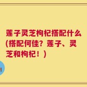 莲子灵芝枸杞搭配什么(搭配何佳？莲子、灵芝和枸杞！)