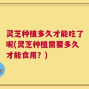 灵芝种植多久才能吃了呢(灵芝种植需要多久才能食用？)