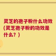 灵芝的孢子粉什么功效(灵芝孢子粉的功效是什么？)