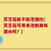 灵芝菇能不能泡酒吃(灵芝菇可用来泡制美味酒水吗？)
