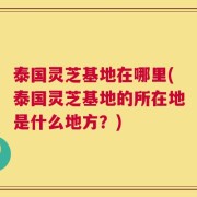 泰国灵芝基地在哪里(泰国灵芝基地的所在地是什么地方？)