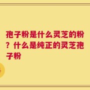 孢子粉是什么灵芝的粉？什么是纯正的灵芝孢子粉