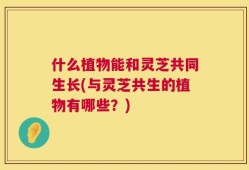 什么植物能和灵芝共同生长(与灵芝共生的植物有哪些？)