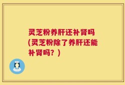 灵芝粉养肝还补肾吗 (灵芝粉除了养肝还能补肾吗？)