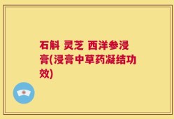 石斛 灵芝 西洋参浸膏(浸膏中草药凝结功效)