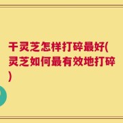 干灵芝怎样打碎最好(灵芝如何最有效地打碎)