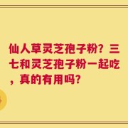 仙人草灵芝孢子粉？三七和灵芝孢子粉一起吃，真的有用吗？