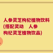 人参灵芝枸杞植物饮料(搭配灵动   人参枸杞灵芝植物饮品)