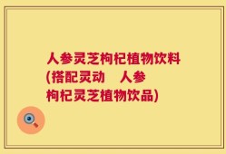 人参灵芝枸杞植物饮料(搭配灵动   人参枸杞灵芝植物饮品)