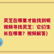 灵芝在哪里才能找到呢视频寻找灵芝：它们生长在哪里？视频解答)