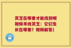 灵芝在哪里才能找到呢视频寻找灵芝：它们生长在哪里？视频解答)