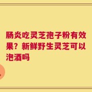 肠炎吃灵芝孢子粉有效果？新鲜野生灵芝可以泡酒吗