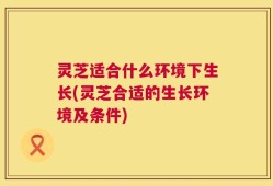 灵芝适合什么环境下生长(灵芝合适的生长环境及条件)
