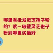 哪里有批发灵芝孢子粉的？紫一破壁灵芝孢子粉到哪里买最好