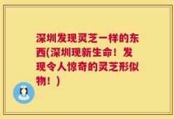 深圳发现灵芝一样的东西(深圳现新生命！发现令人惊奇的灵芝形似物！)