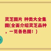 灵芝图片 种类大全集图(全面介绍灵芝品种，一览各色图！)