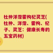 杜仲洋霪霍枸杞灵芝(杜仲、洋霪、霍枸、杞子、灵芝：健康长寿的五宝药材)