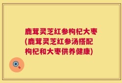 鹿茸灵芝红参枸杞大枣(鹿茸灵芝红参汤搭配枸杞和大枣供养健康)