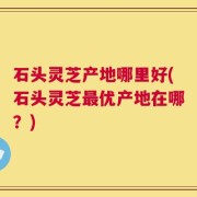 石头灵芝产地哪里好(石头灵芝最优产地在哪？)
