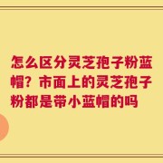 怎么区分灵芝孢子粉蓝帽？市面上的灵芝孢子粉都是带小蓝帽的吗