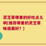 灵芝草哪里的好吃点儿啊(推荐哪里的灵芝草味道最好？)