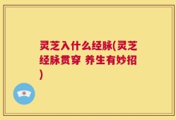 灵芝入什么经脉(灵芝经脉贯穿 养生有妙招)